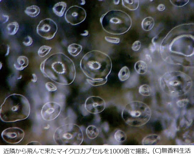 近隣から飛んできたマイクロカプセルを1000倍で撮影。(C)無香料生活