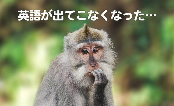 英語が出てこなくなった…